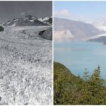 Muir Glacier, Alaska. August, 1941 — August, 2004.