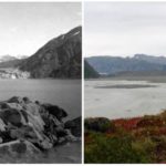 Carroll Glacier, Alaska. August, 1906 — September, 2003.